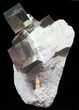 Museum Quality Pyrite Cube Cluster In Matrix - Spain #50697-2